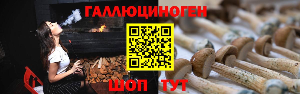 Назарово  Псилоцибиновые грибы MAGIC MUSHROOMS  Вход с VPN 